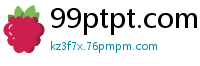 99ptpt.com